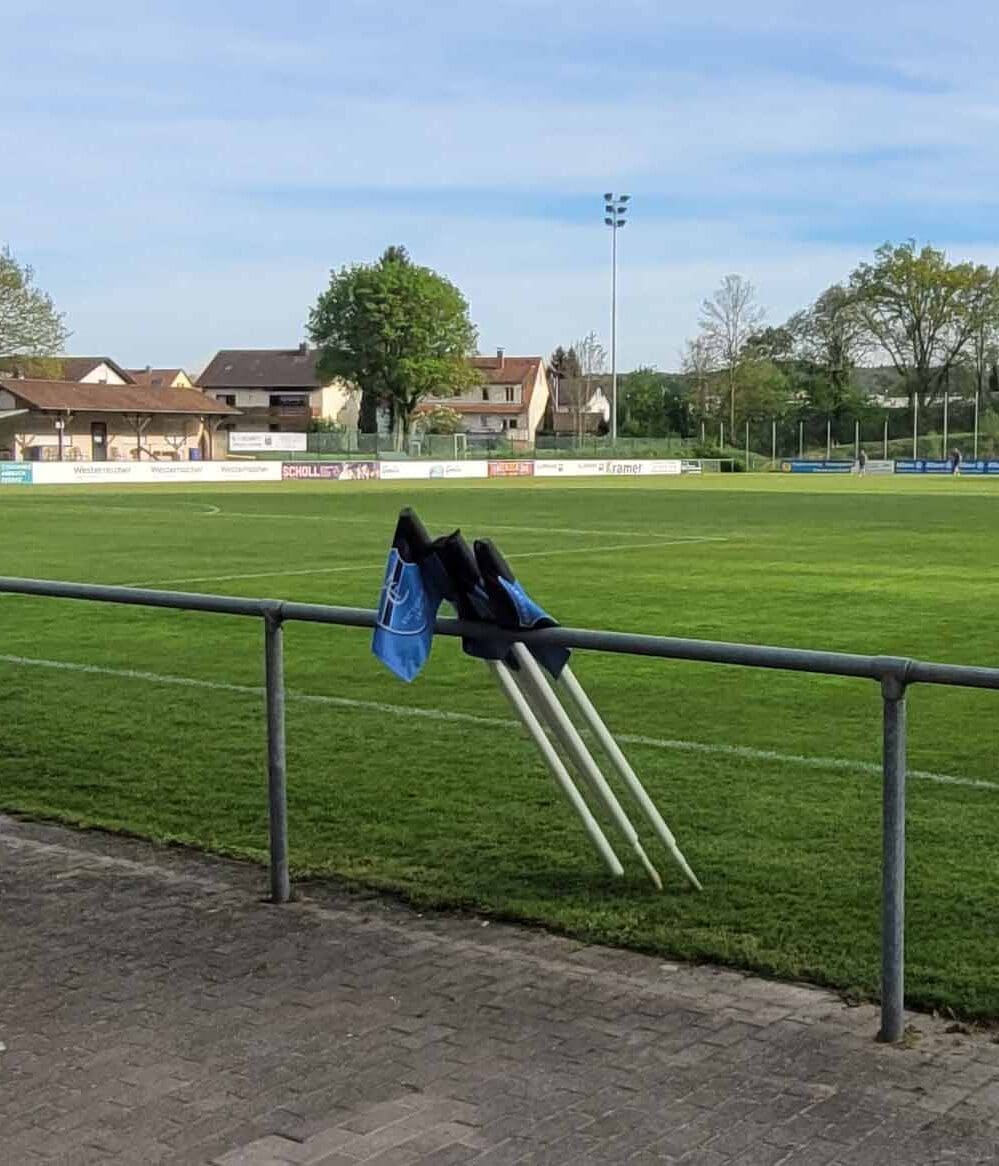 Bammental-aspect-ratio-1028-1200