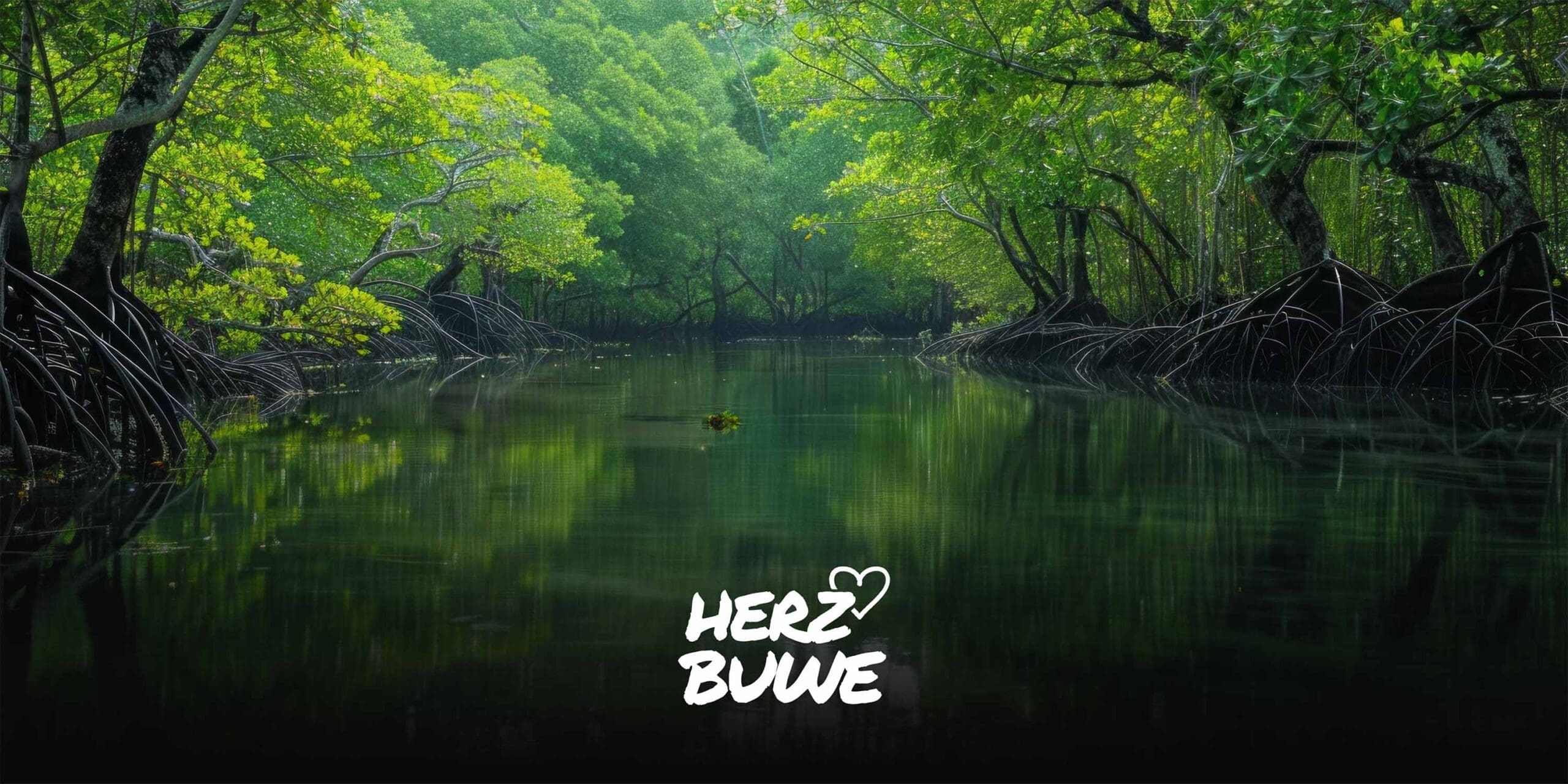 Mangrovenwald herzbuwe